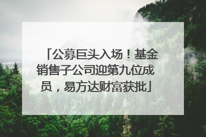 公募巨头入场！基金销售子公司迎第九位成员，易方达财富获批