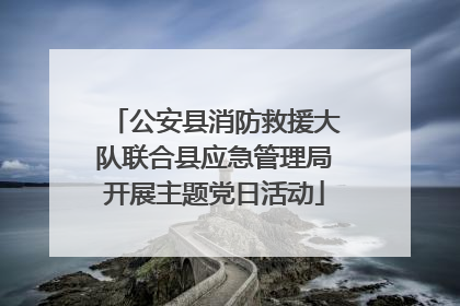 公安县消防救援大队联合县应急管理局开展主题党日活动