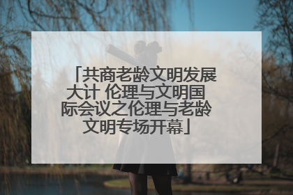 共商老龄文明发展大计 伦理与文明国际会议之伦理与老龄文明专场开幕