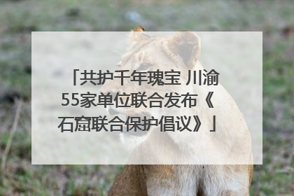 共护千年瑰宝 川渝55家单位联合发布《石窟联合保护倡议》