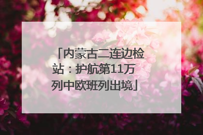 内蒙古二连边检站：护航第11万列中欧班列出境