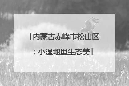 内蒙古赤峰市松山区：小湿地里生态美