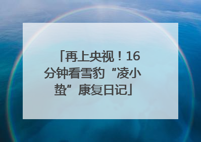 再上央视！16分钟看雪豹“凌小蛰”康复日记