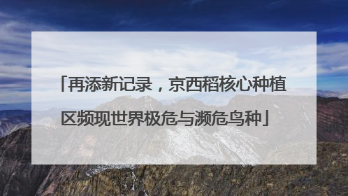再添新记录，京西稻核心种植区频现世界极危与濒危鸟种