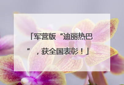 军营版“迪丽热巴”，获全国表彰！