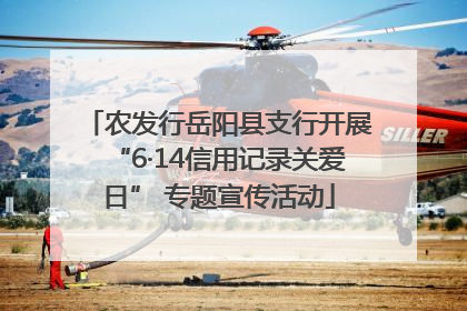 农发行岳阳县支行开展“6·14信用记录关爱日” 专题宣传活动