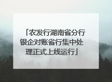 农发行湖南省分行银企对账省行集中处理正式上线运行