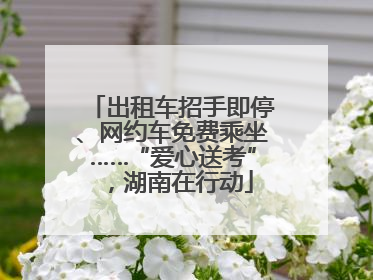 出租车招手即停、网约车免费乘坐……“爱心送考”，湖南在行动