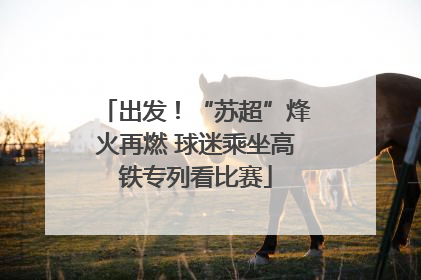 出发！“苏超”烽火再燃 球迷乘坐高铁专列看比赛