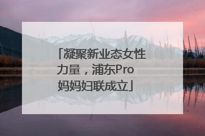 凝聚新业态女性力量，浦东Pro妈妈妇联成立