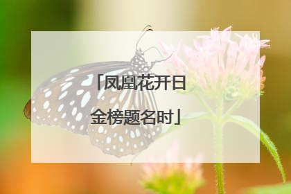 凤凰花开日 金榜题名时
