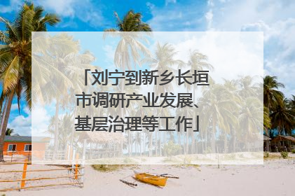 刘宁到新乡长垣市调研产业发展、基层治理等工作