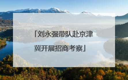 刘永强带队赴京津冀开展招商考察