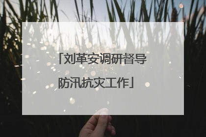 刘革安调研督导防汛抗灾工作