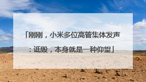 刚刚，小米多位高管集体发声：诋毁，本身就是一种仰望