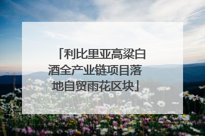 利比里亚高粱白酒全产业链项目落地自贸雨花区块