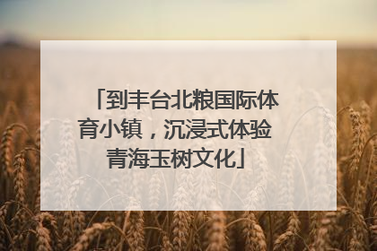 到丰台北粮国际体育小镇，沉浸式体验青海玉树文化