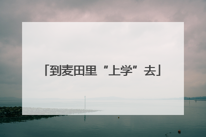 到麦田里“上学”去