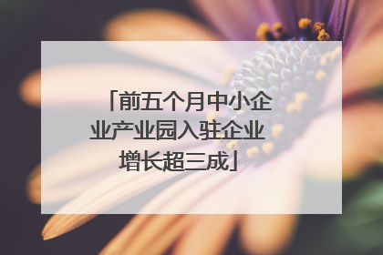 前五个月中小企业产业园入驻企业增长超三成