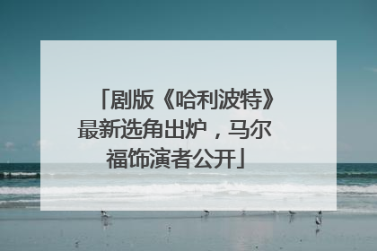 剧版《哈利波特》最新选角出炉，马尔福饰演者公开