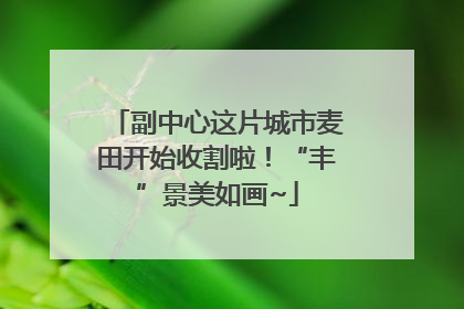 副中心这片城市麦田开始收割啦！“丰”景美如画~