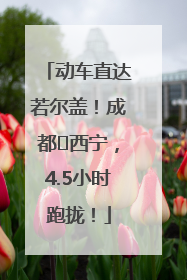 动车直达若尔盖！成都⇄西宁，4.5小时跑拢！