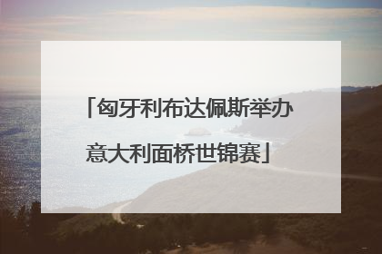 匈牙利布达佩斯举办意大利面桥世锦赛