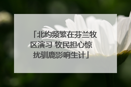 北约频繁在芬兰牧区演习 牧民担心惊扰驯鹿影响生计