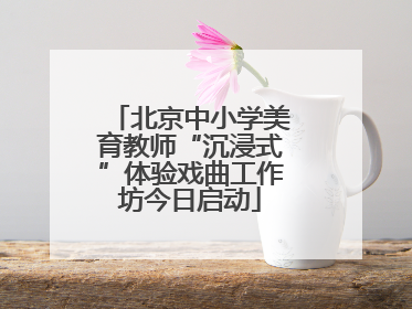北京中小学美育教师“沉浸式”体验戏曲工作坊今日启动