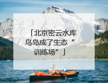 北京密云水库鸟岛成了生态“训练场”