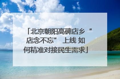 北京朝阳高碑店乡“店念不忘” 上线 如何精准对接民生需求