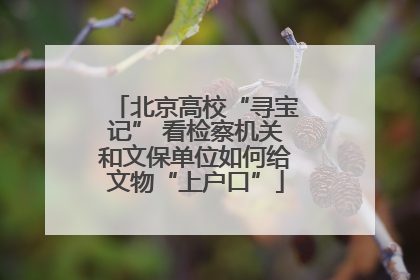 北京高校“寻宝记” 看检察机关和文保单位如何给文物“上户口”