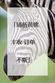 埇桥黄桃丰收 订单不断