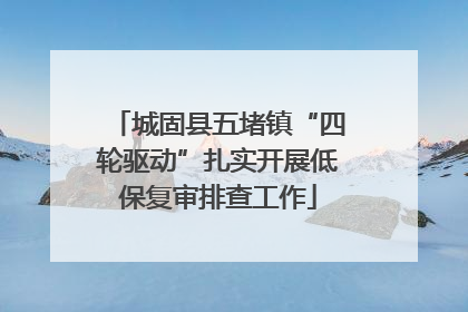 城固县五堵镇“四轮驱动”扎实开展低保复审排查工作
