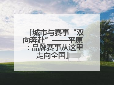 城市与赛事“双向奔赴”——平原：品牌赛事从这里走向全国