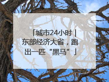 城市24小时｜东部经济大省，跑出一匹“黑马”