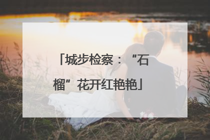 城步检察：“石榴”花开红艳艳