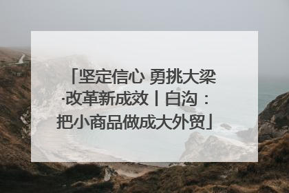 坚定信心 勇挑大梁·改革新成效丨白沟：把小商品做成大外贸