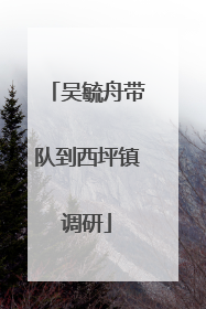 吴毓舟带队到西坪镇调研
