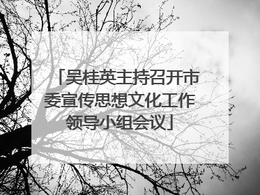 吴桂英主持召开市委宣传思想文化工作领导小组会议