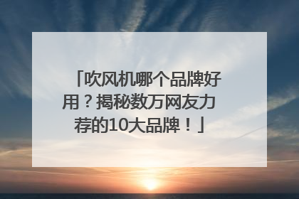 吹风机哪个品牌好用？揭秘数万网友力荐的10大品牌！