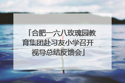 合肥一六八玫瑰园教育集团赴习友小学召开视导总结反馈会