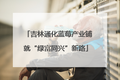 吉林通化蓝莓产业铺就“绿富同兴”新路