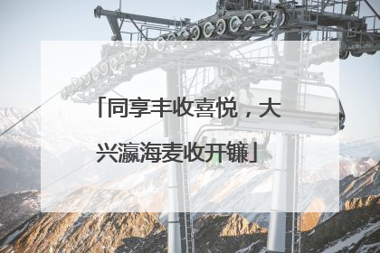 同享丰收喜悦，大兴瀛海麦收开镰
