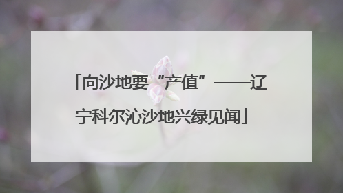 向沙地要“产值”——辽宁科尔沁沙地兴绿见闻