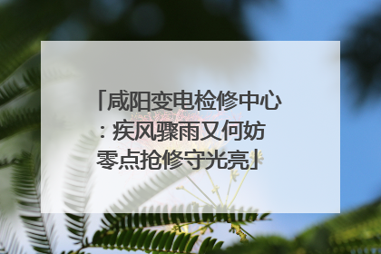咸阳变电检修中心：疾风骤雨又何妨 零点抢修守光亮
