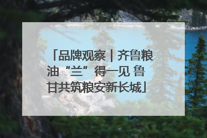品牌观察｜齐鲁粮油“兰”得一见 鲁甘共筑粮安新长城
