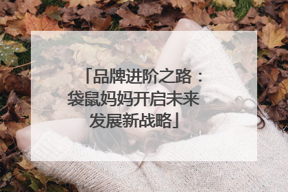 品牌进阶之路：袋鼠妈妈开启未来发展新战略