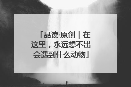 品读·原创｜在这里，永远想不出会遇到什么动物