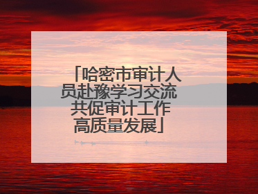 哈密市审计人员赴豫学习交流 共促审计工作高质量发展